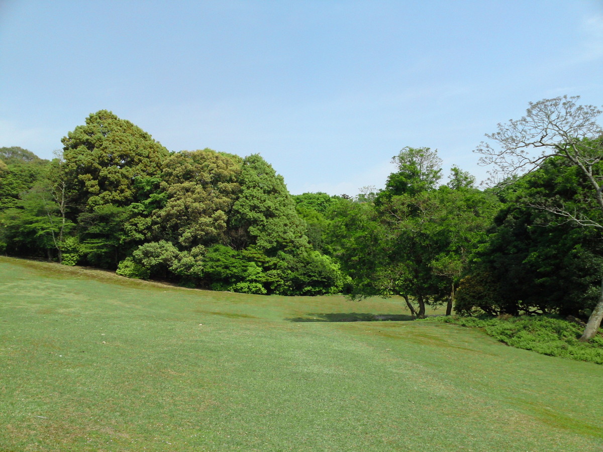 飛火野・桐畑