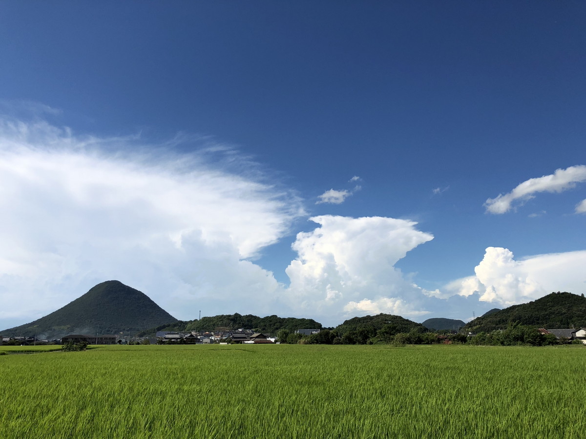 讃岐富士