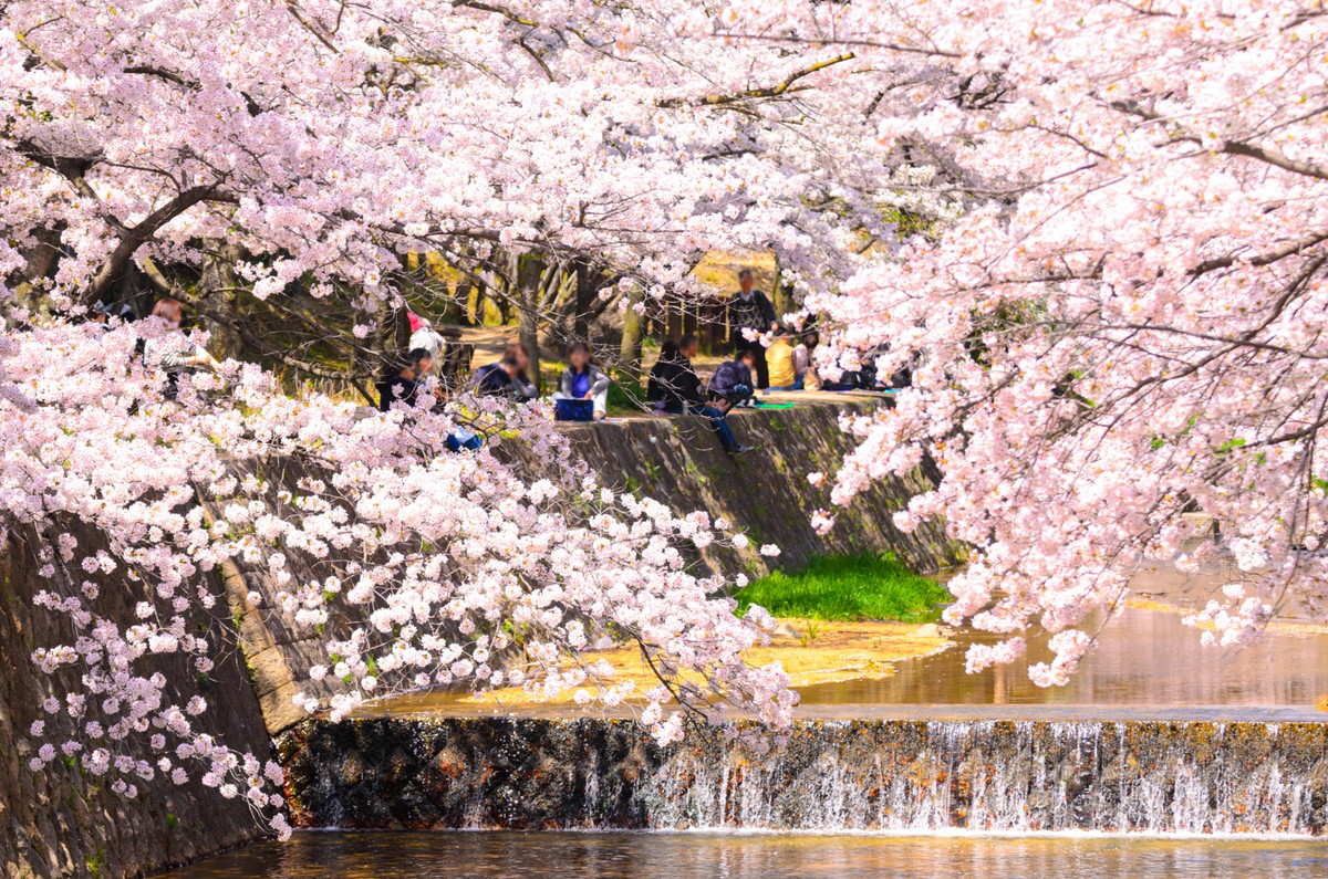 夙川公園