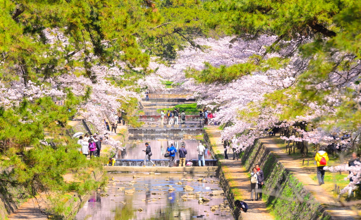 夙川公園