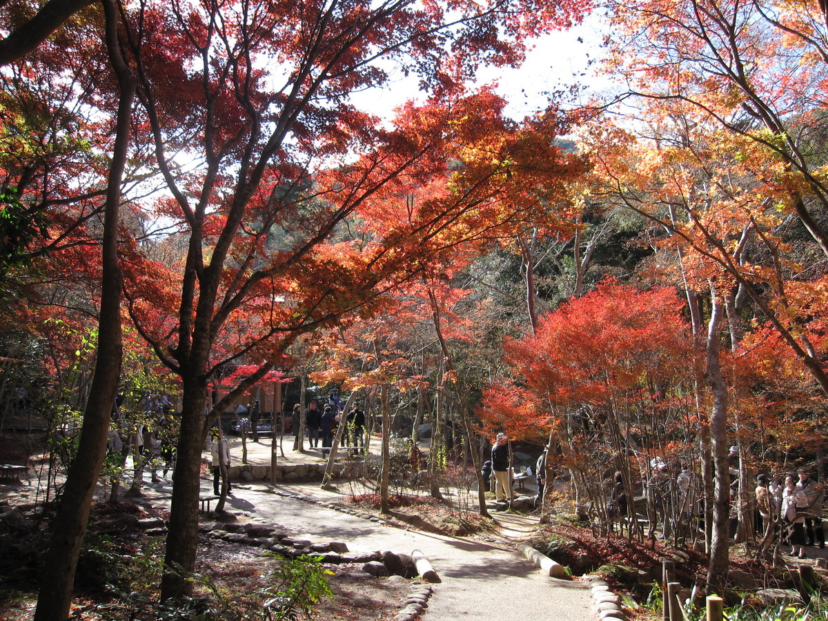 瑞宝寺公園