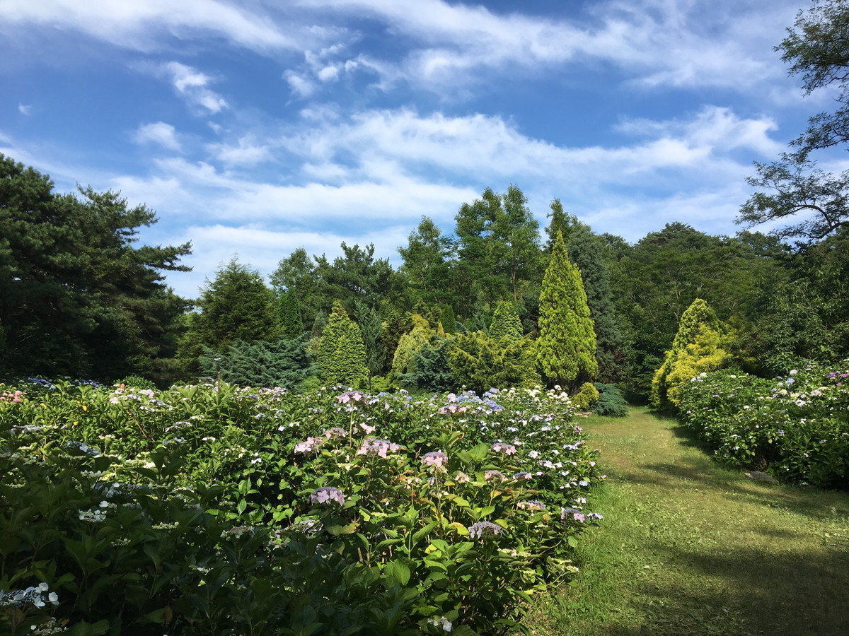 神戸市立森林植物園