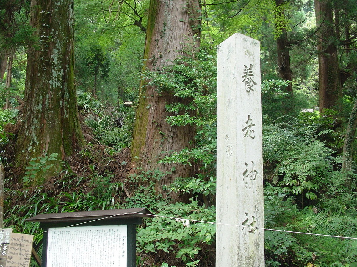 養老の滝