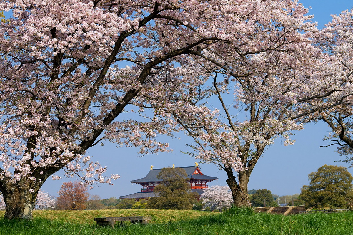 平城宮跡