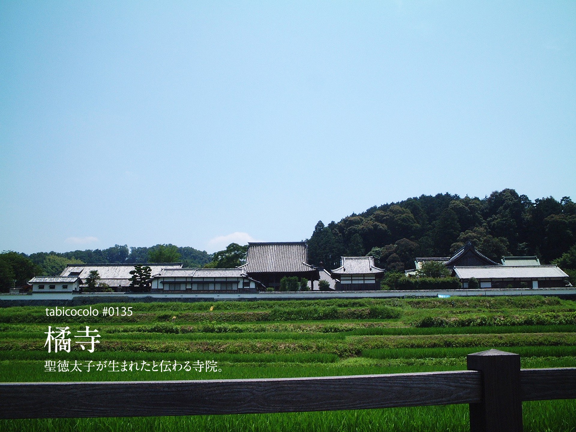 橘寺