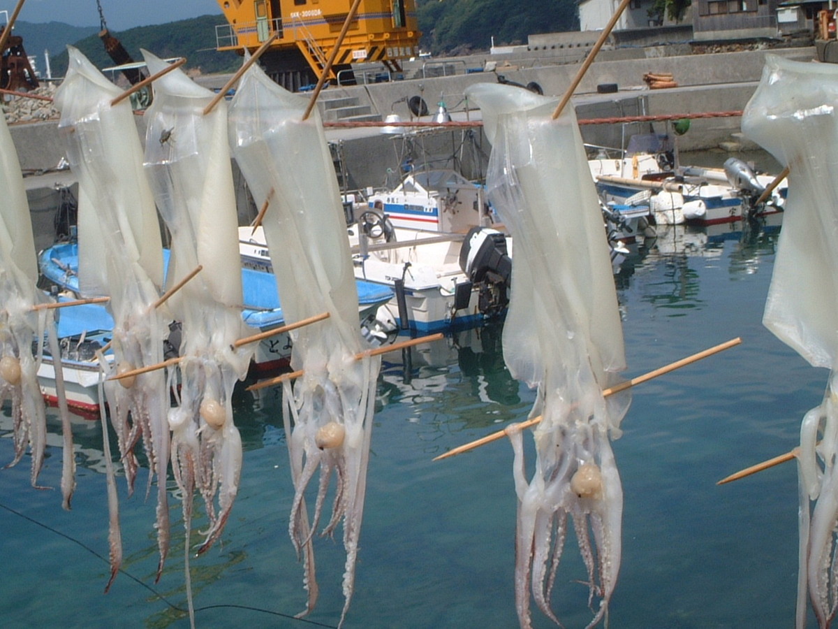 外泊・石垣の里