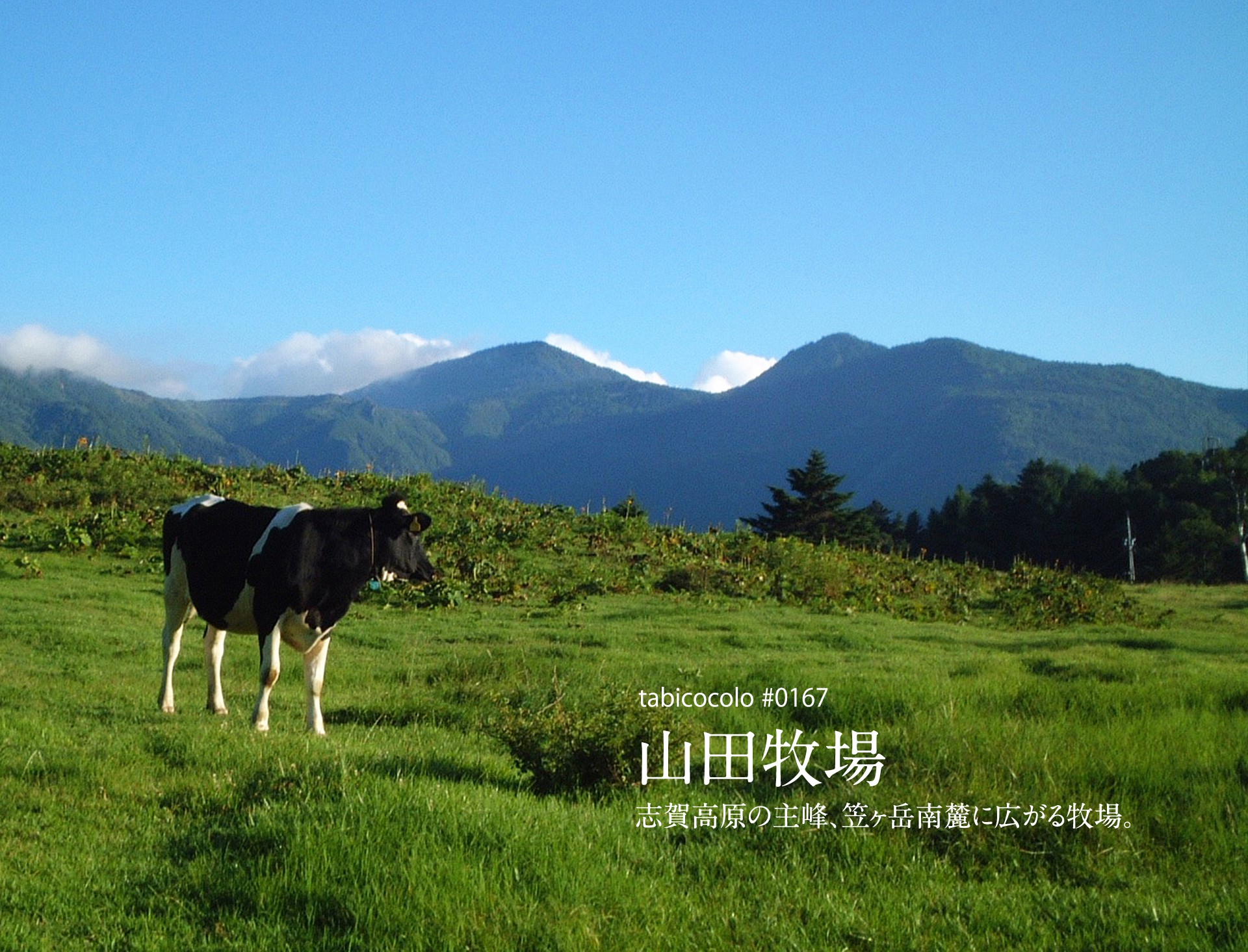 山田牧場