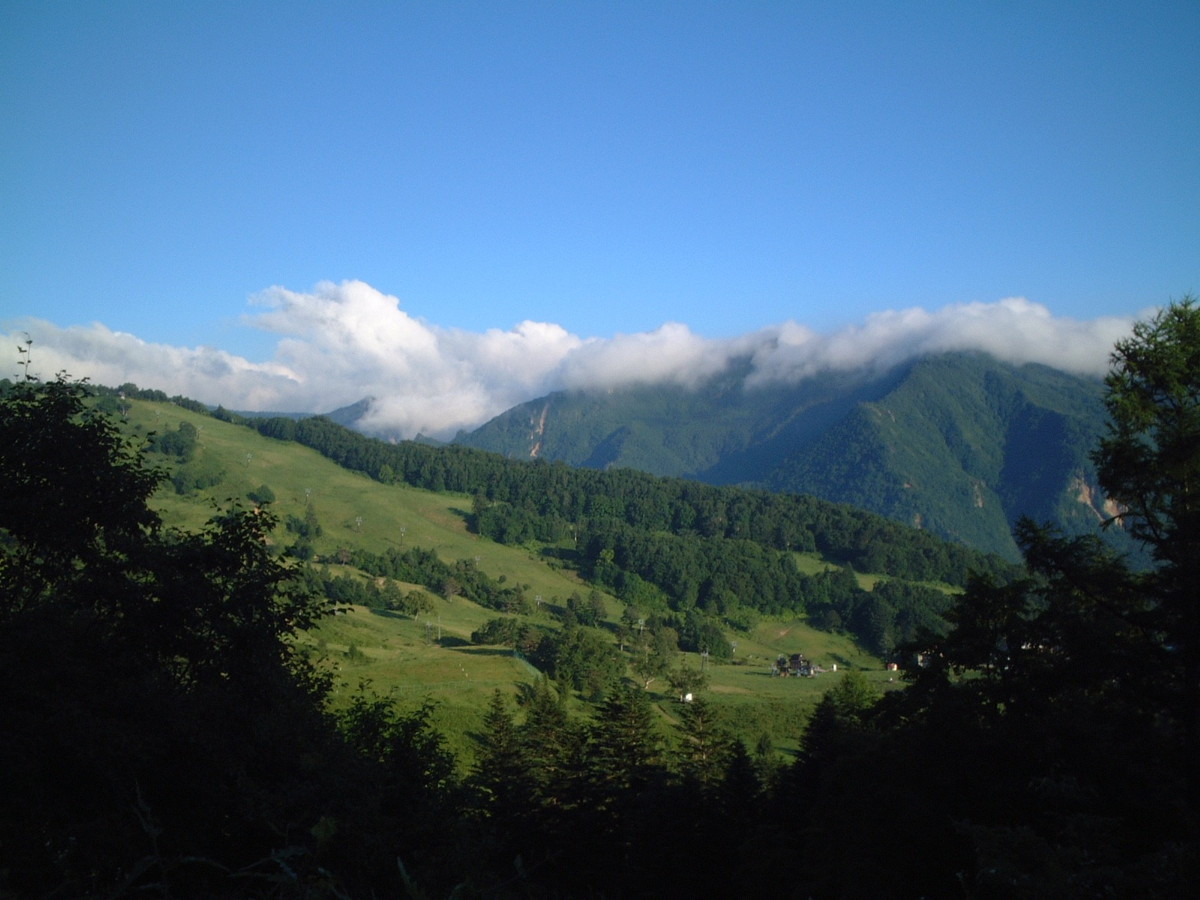 山田牧場