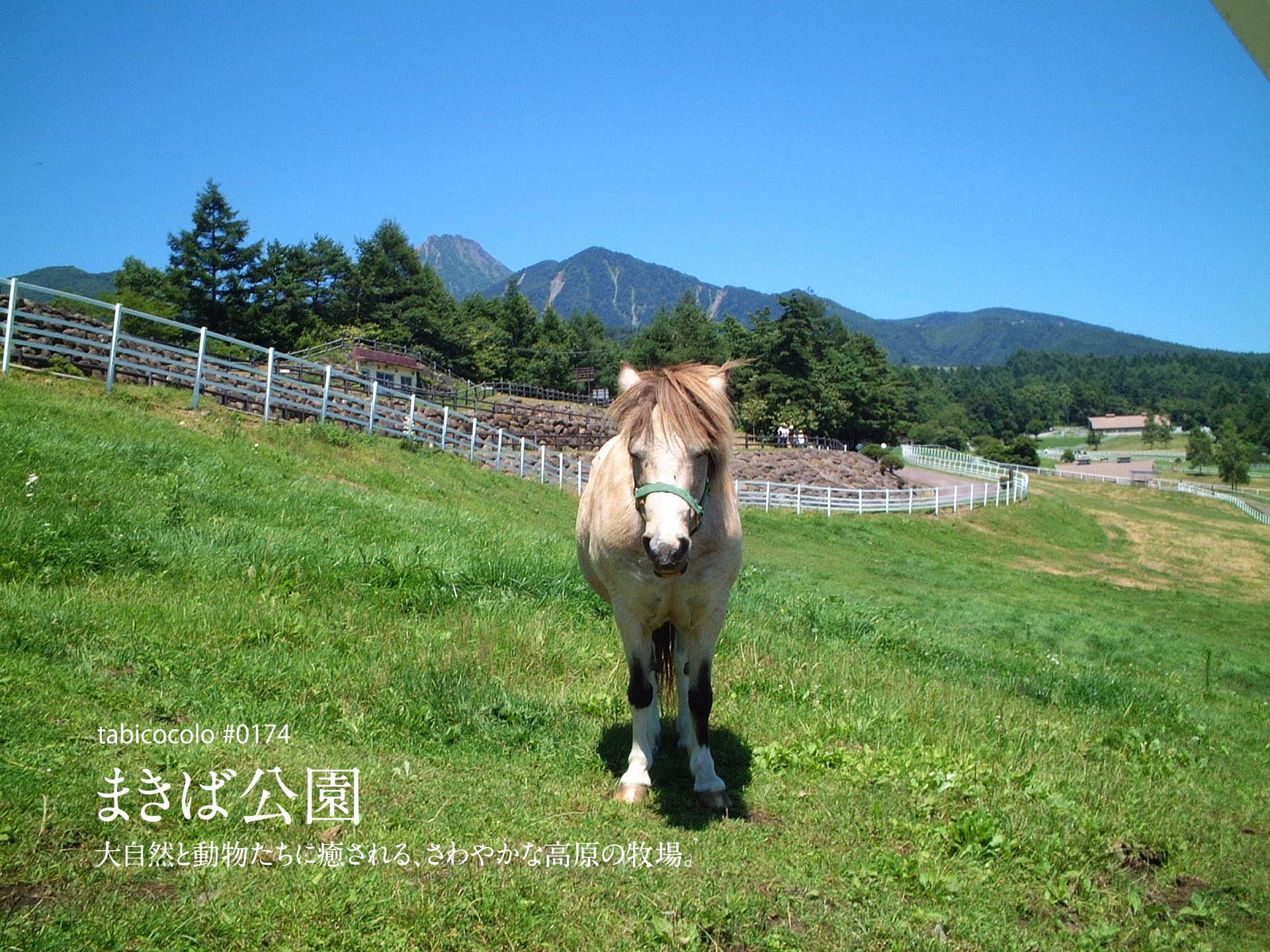 まきば公園