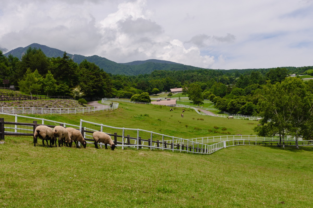 まきば公園