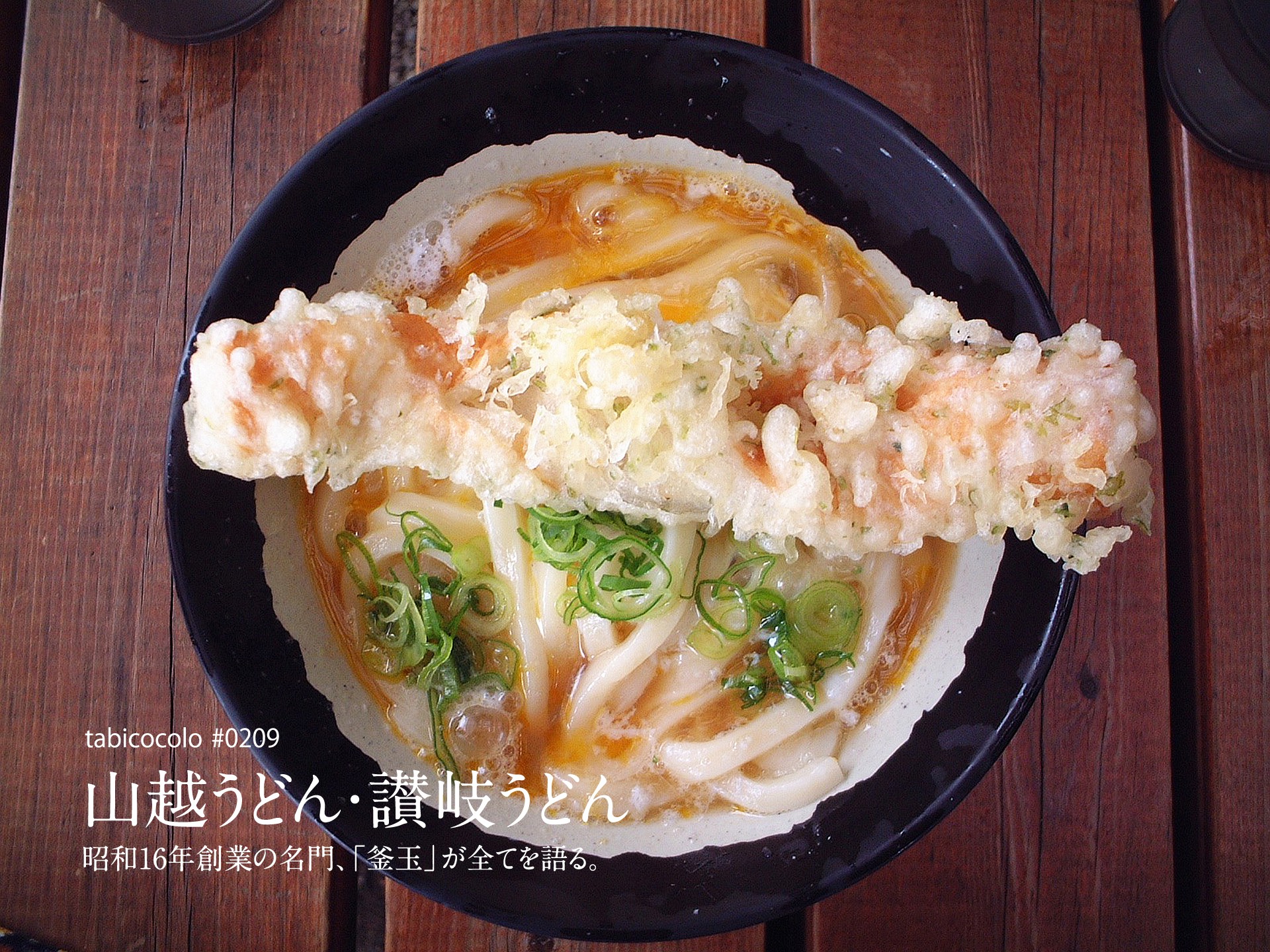 山越うどん・讃岐うどん