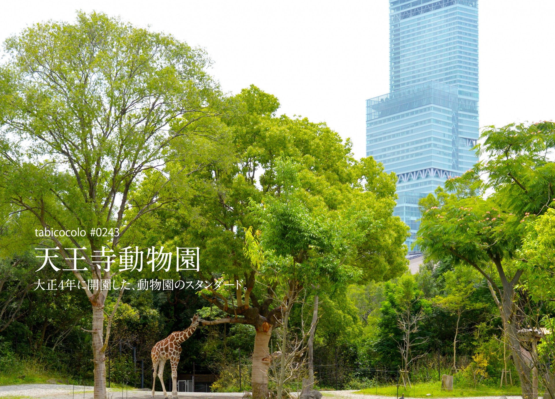 天王寺動物園