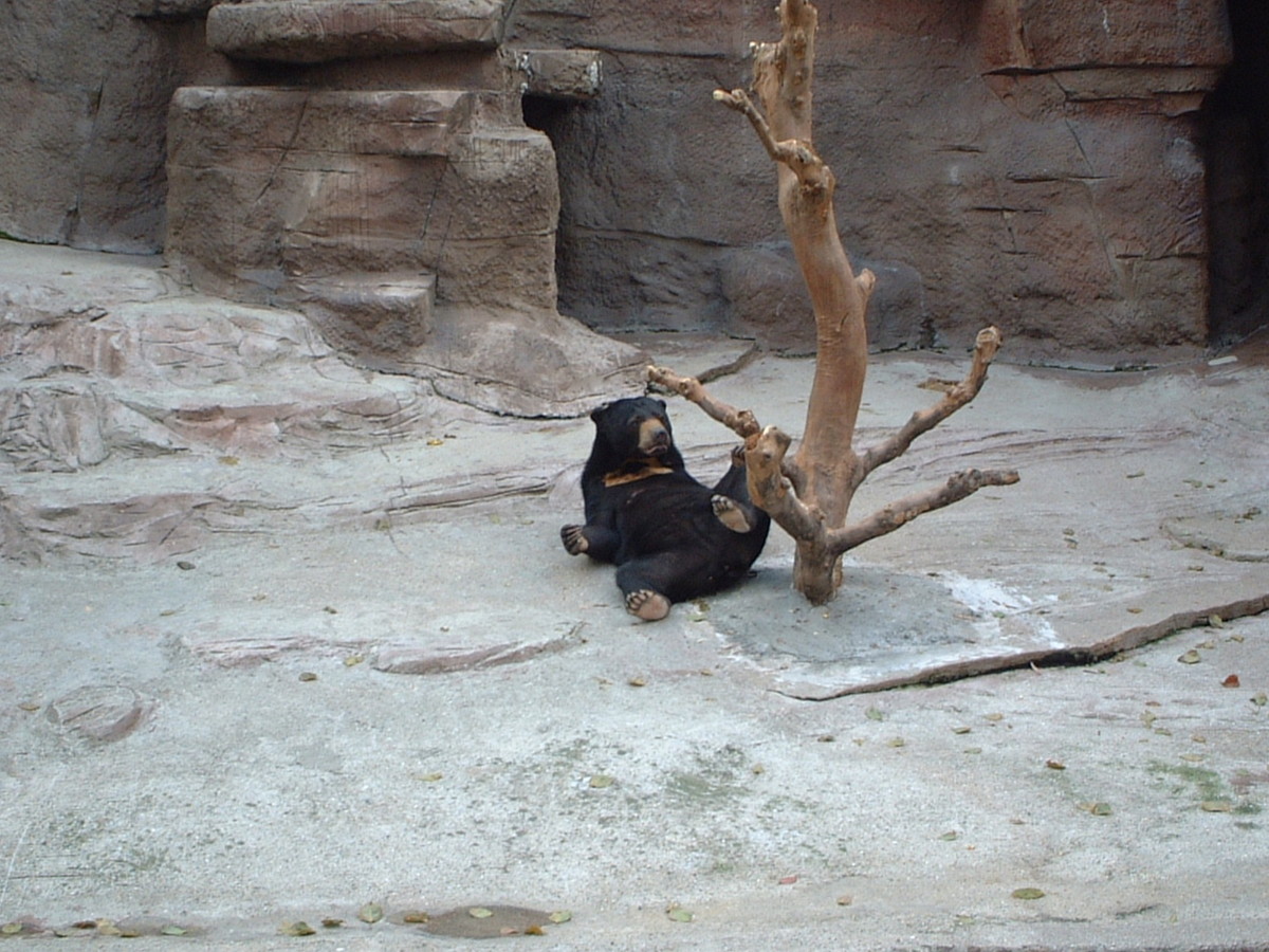 天王寺動物園