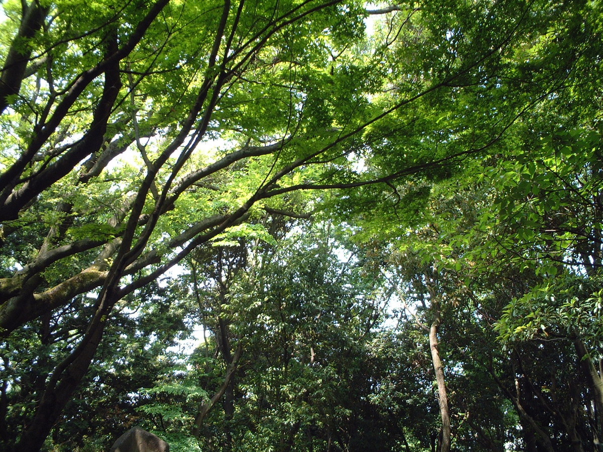 柿田川湧水群