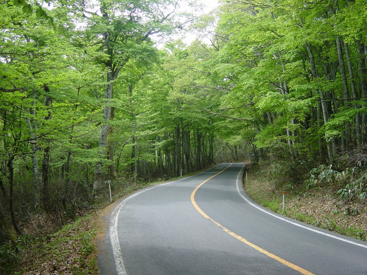 大山環状道路