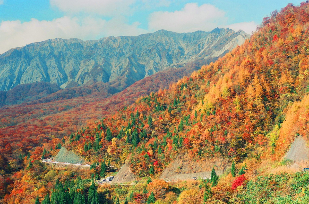 大山環状道路