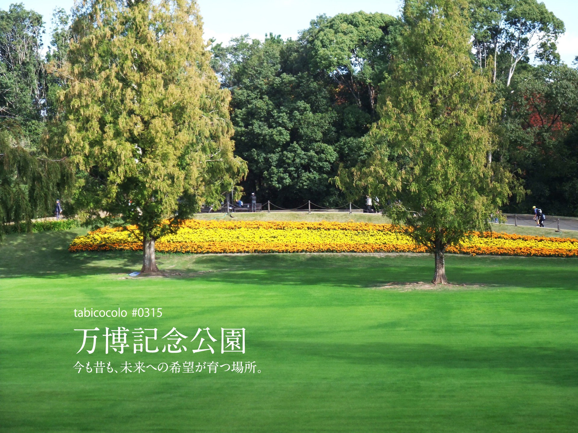 万博記念公園