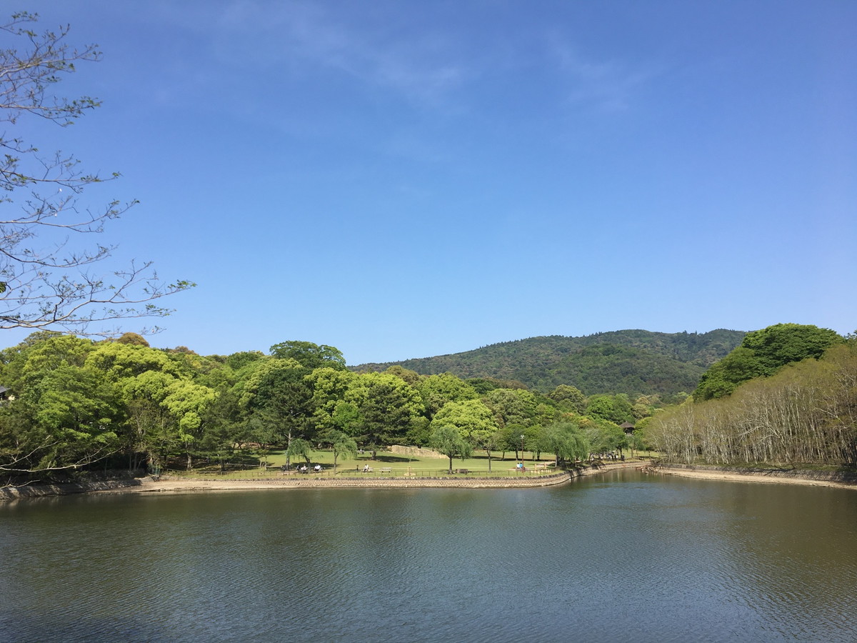 奈良公園