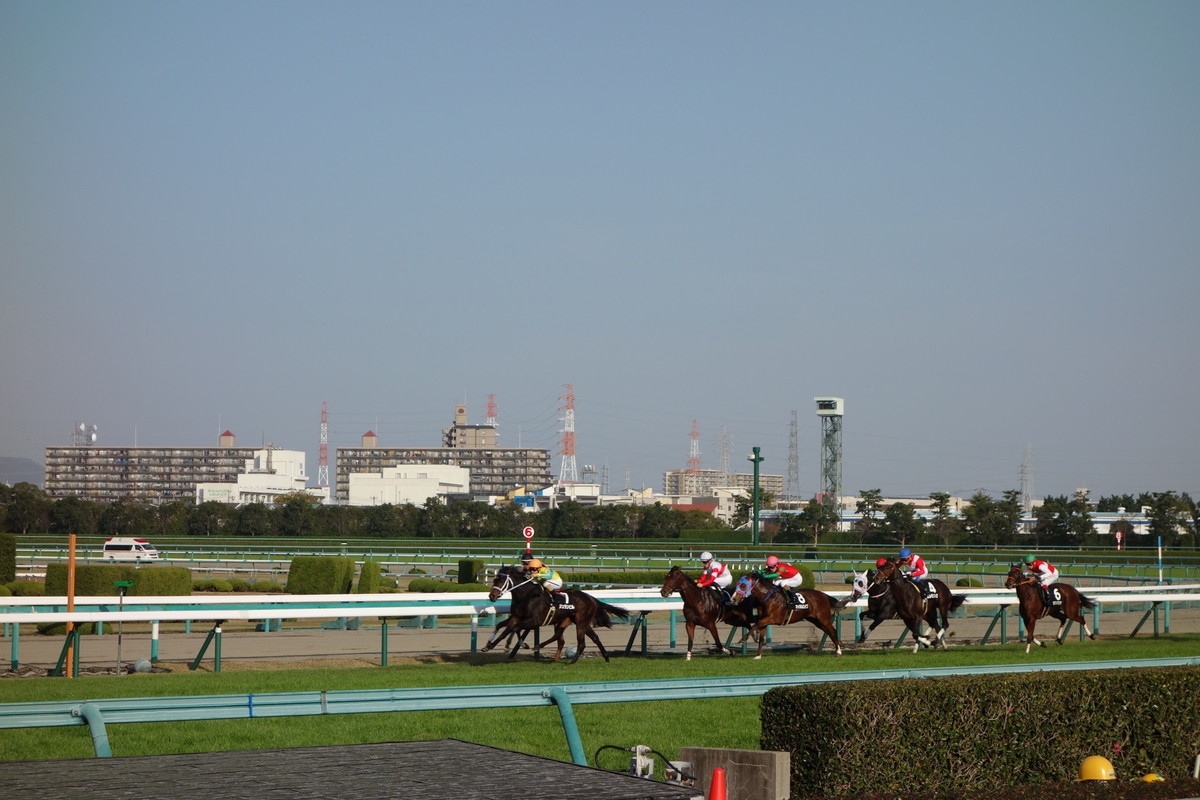 阪神競馬場