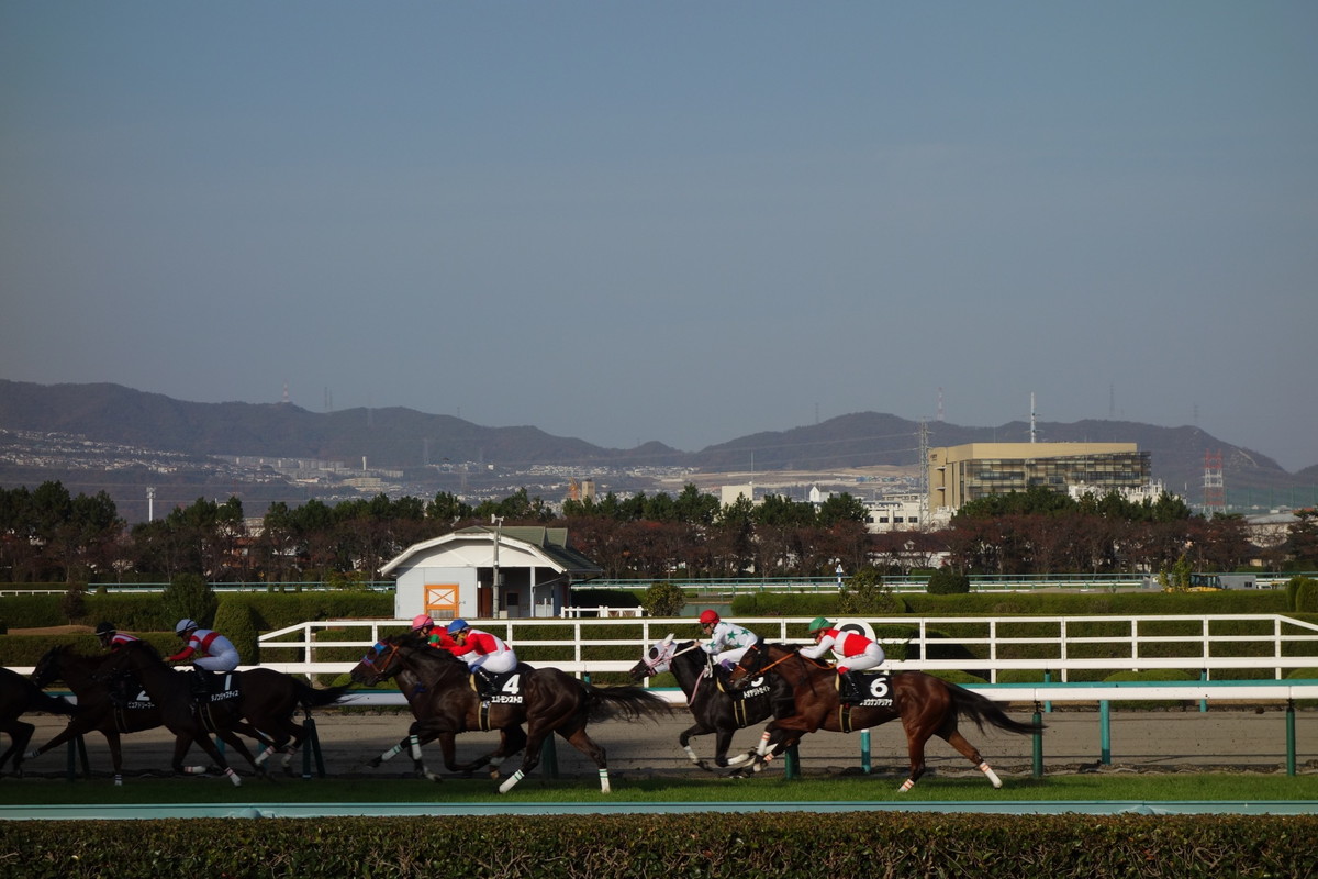 阪神競馬場