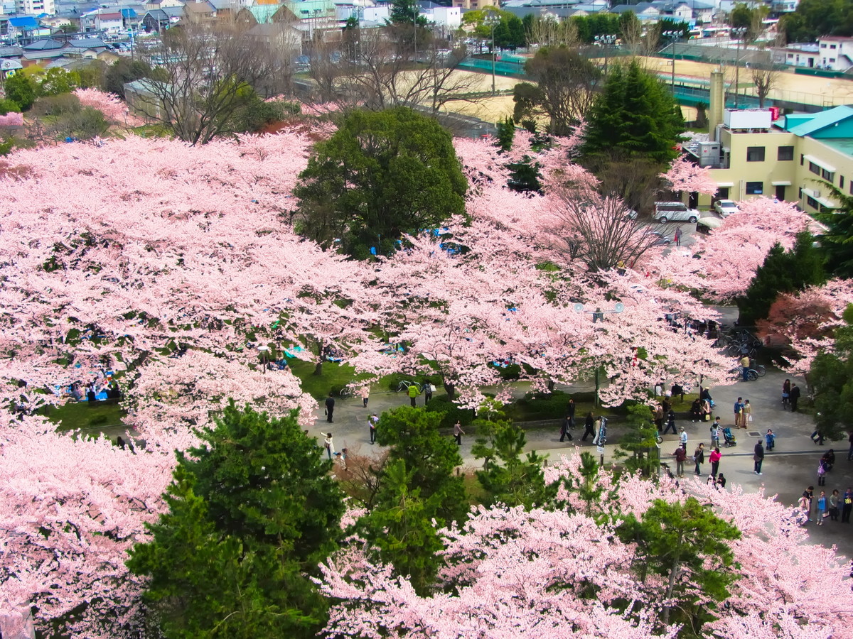 豊公園