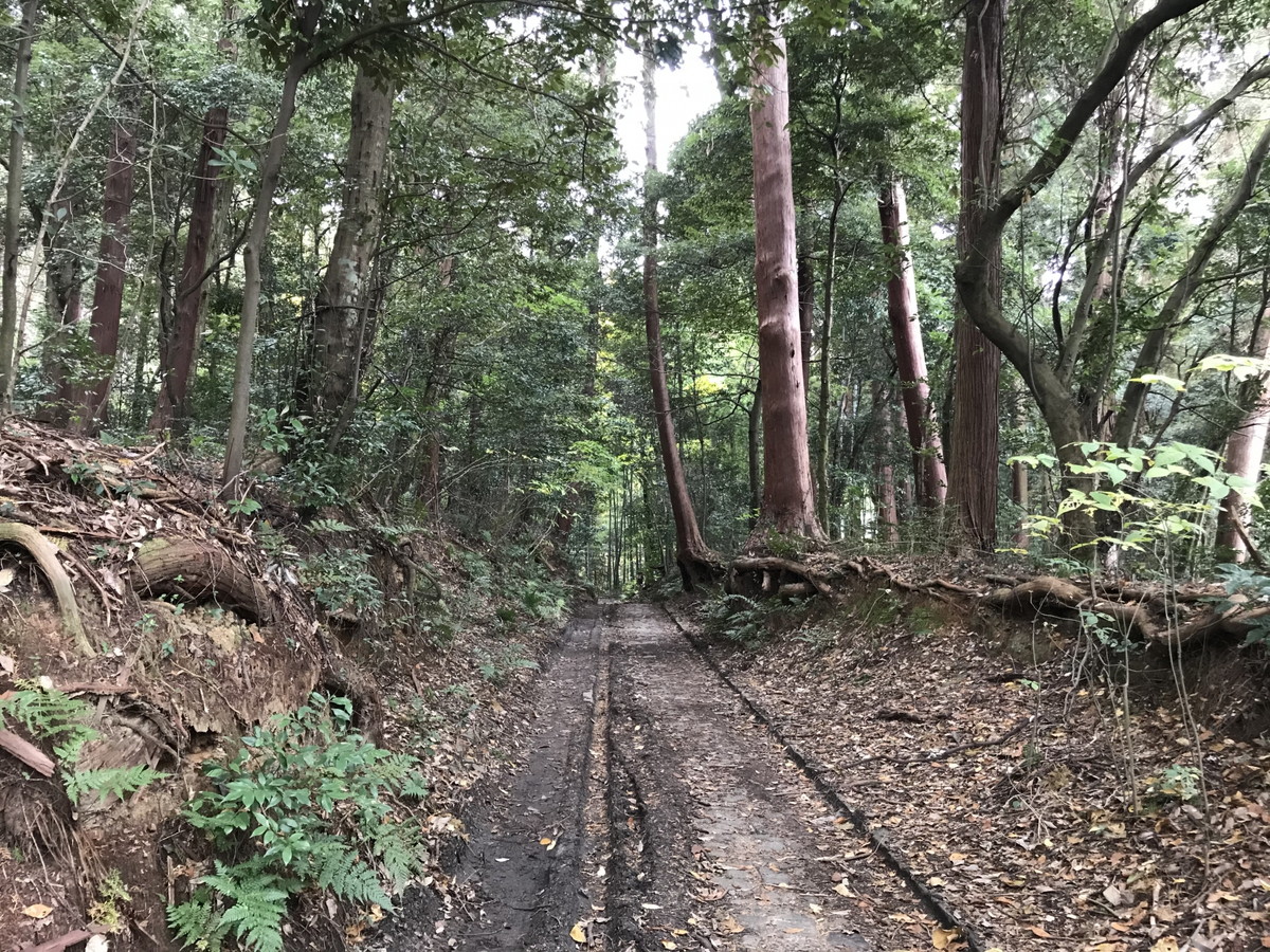 山の辺の道