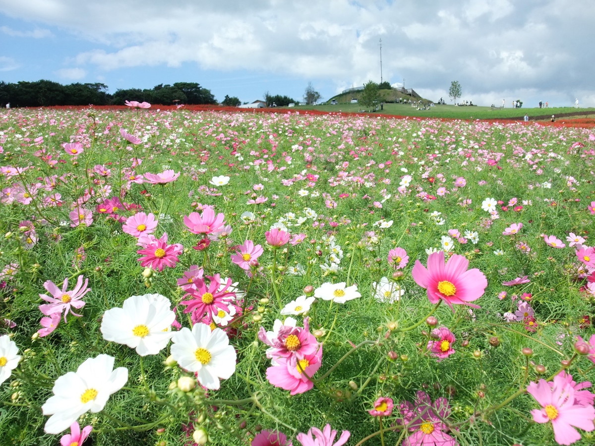 あわじ花さじき