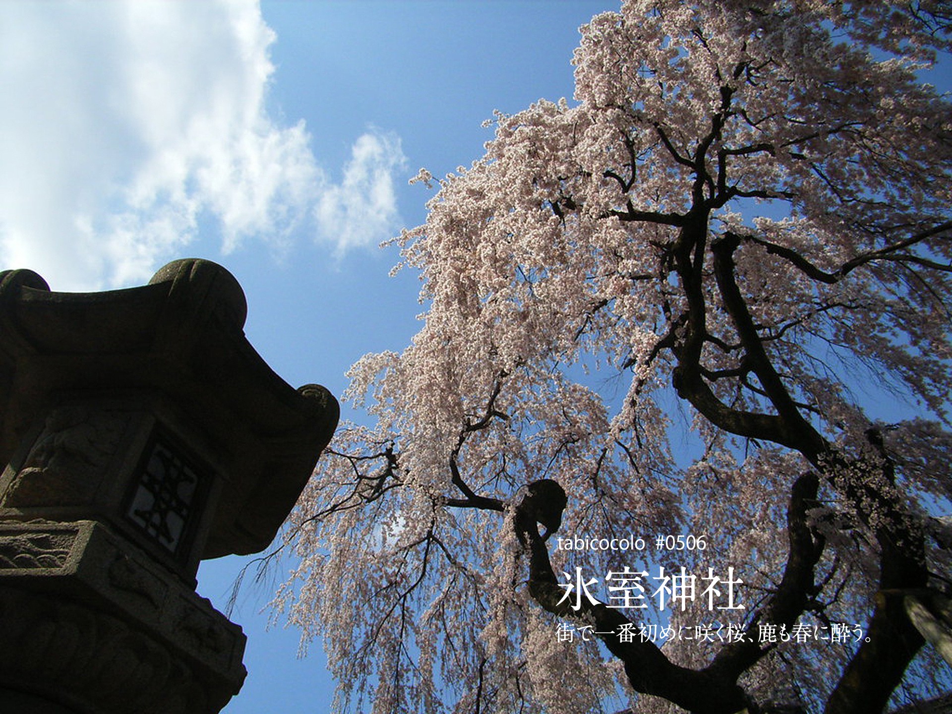 氷室神社