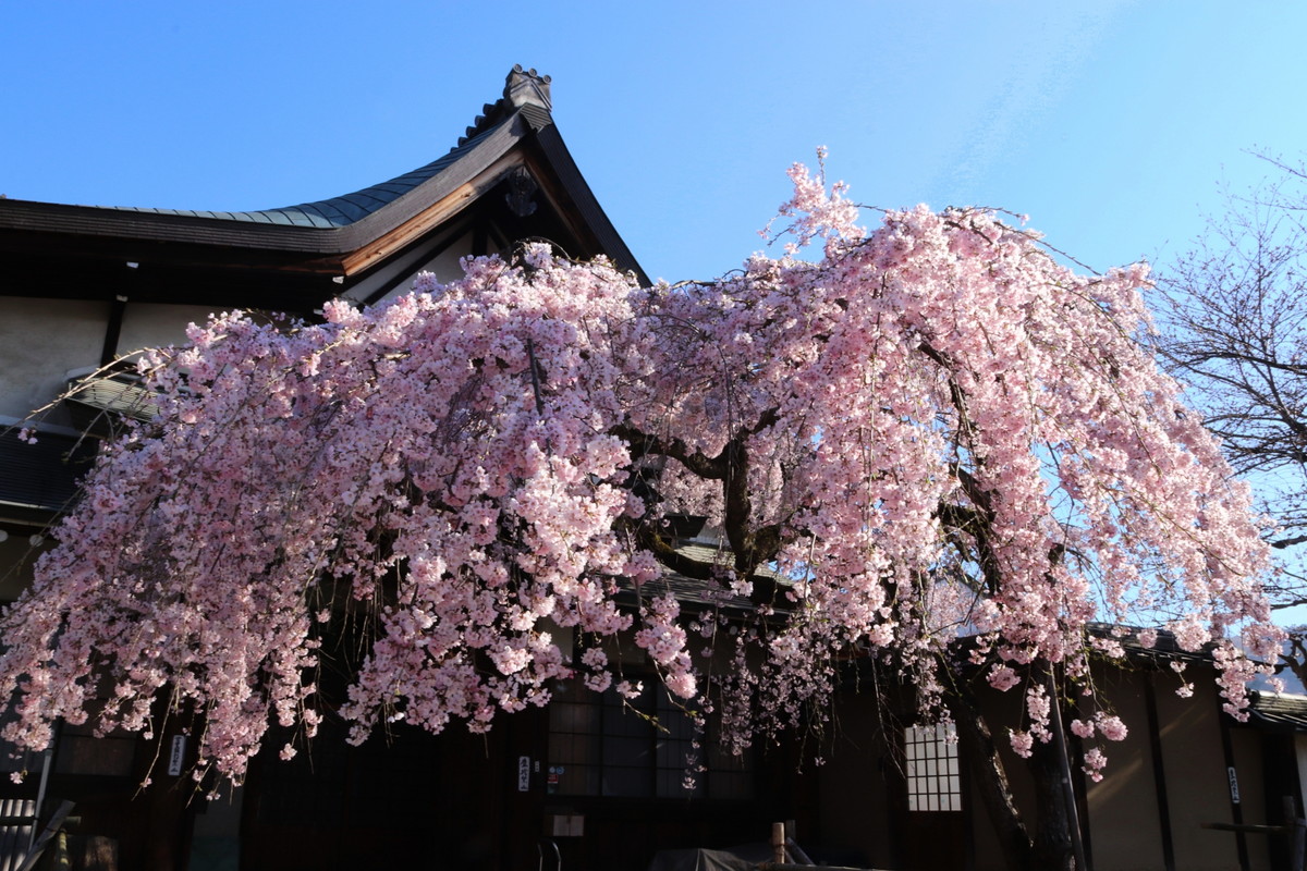 氷室神社