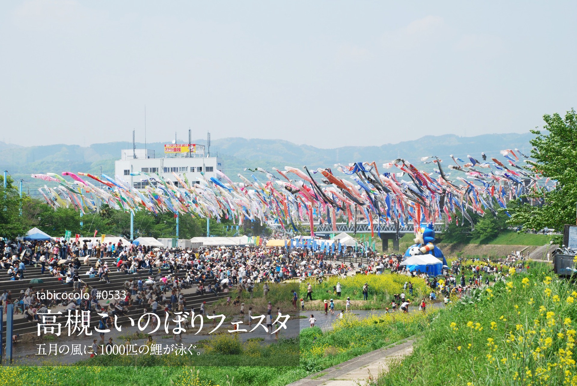 高槻こいのぼりフェスタ