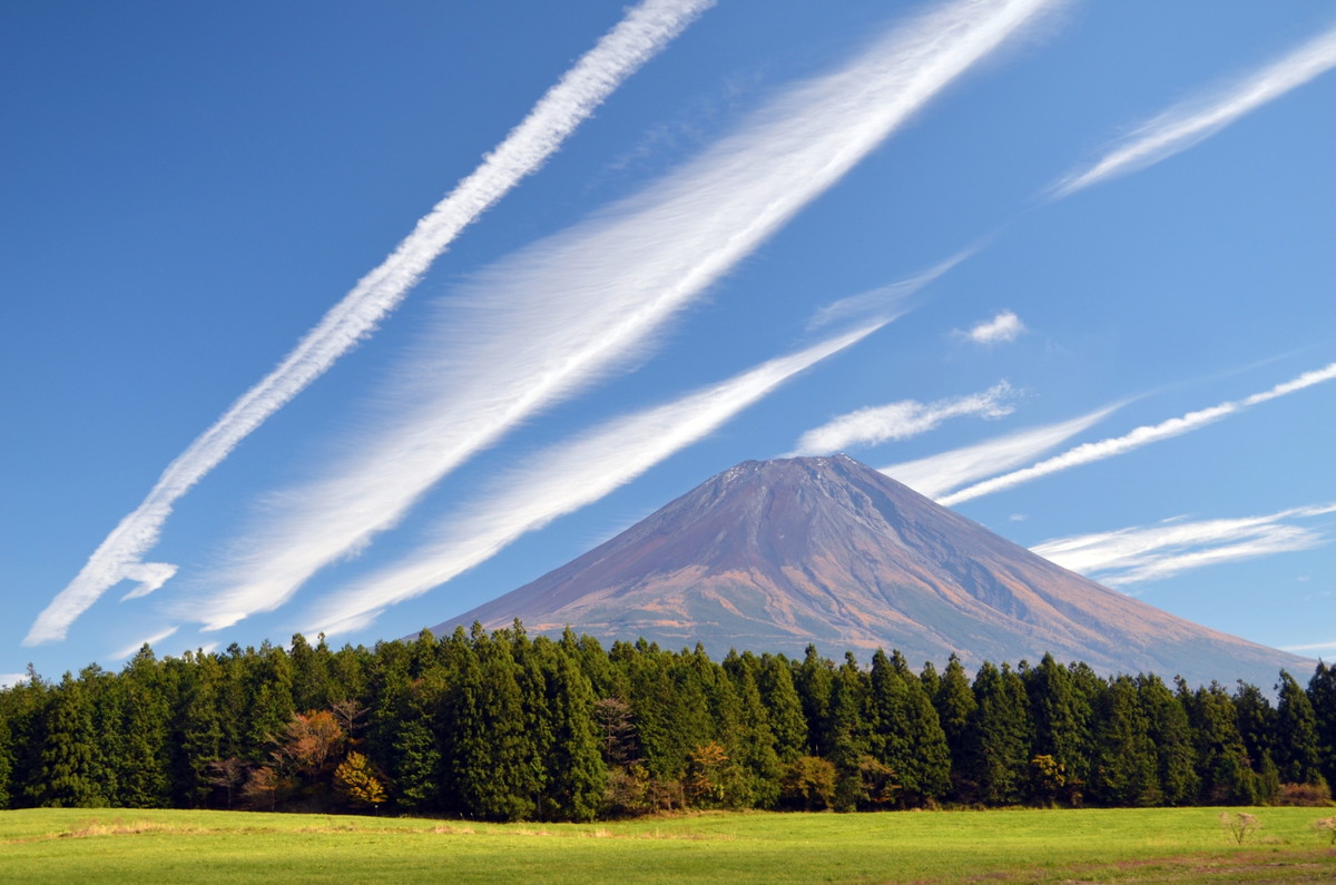 朝霧高原