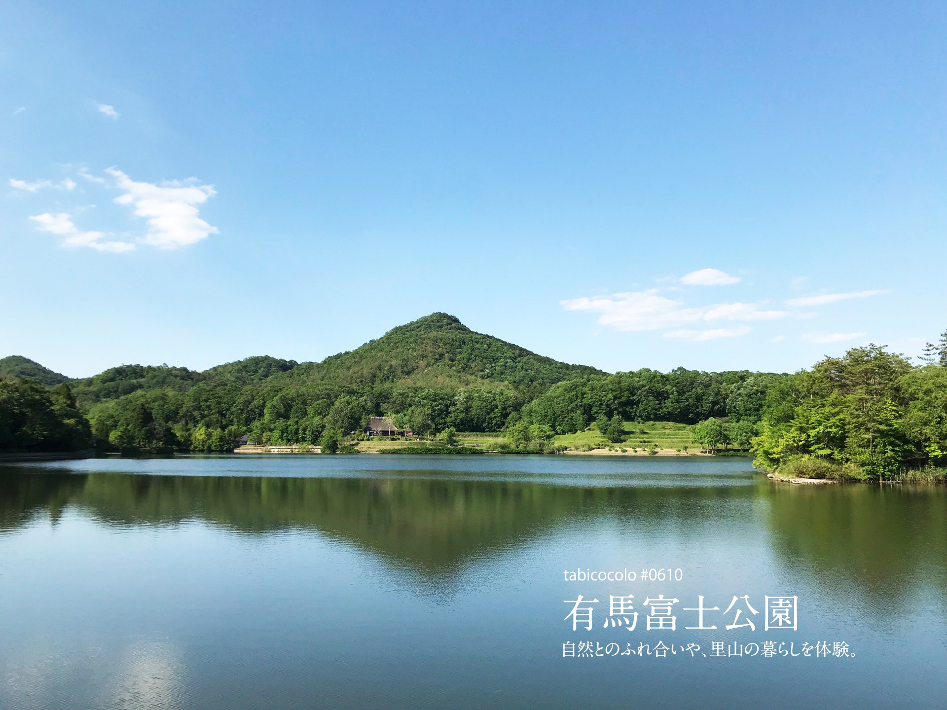 有馬富士公園