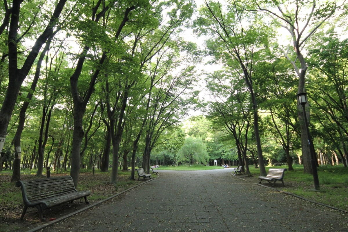 大阪城公園