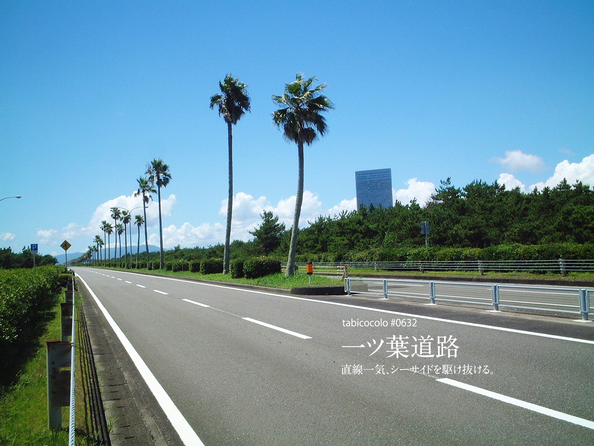 一ツ葉道路