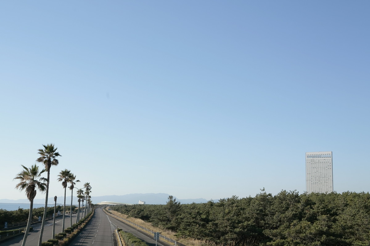 一ツ葉道路