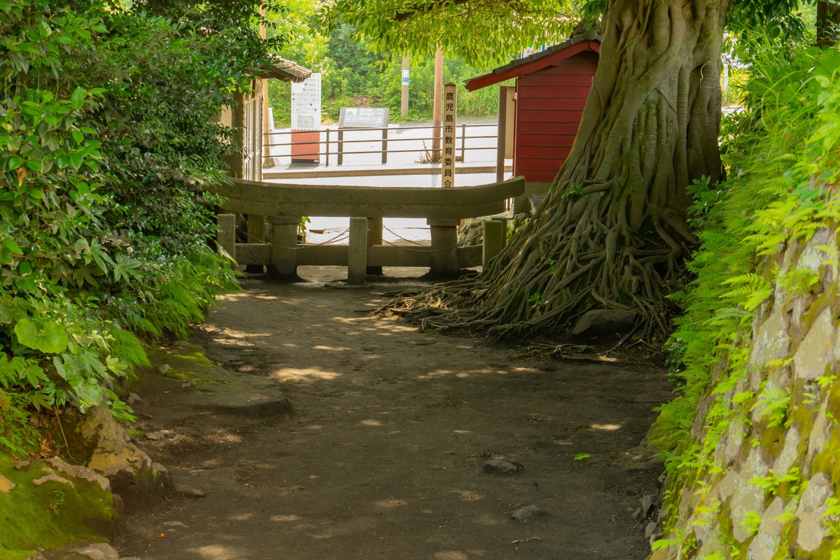 黒神埋没鳥居