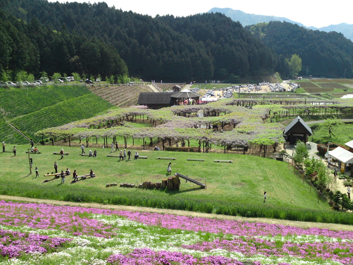 大町藤公園