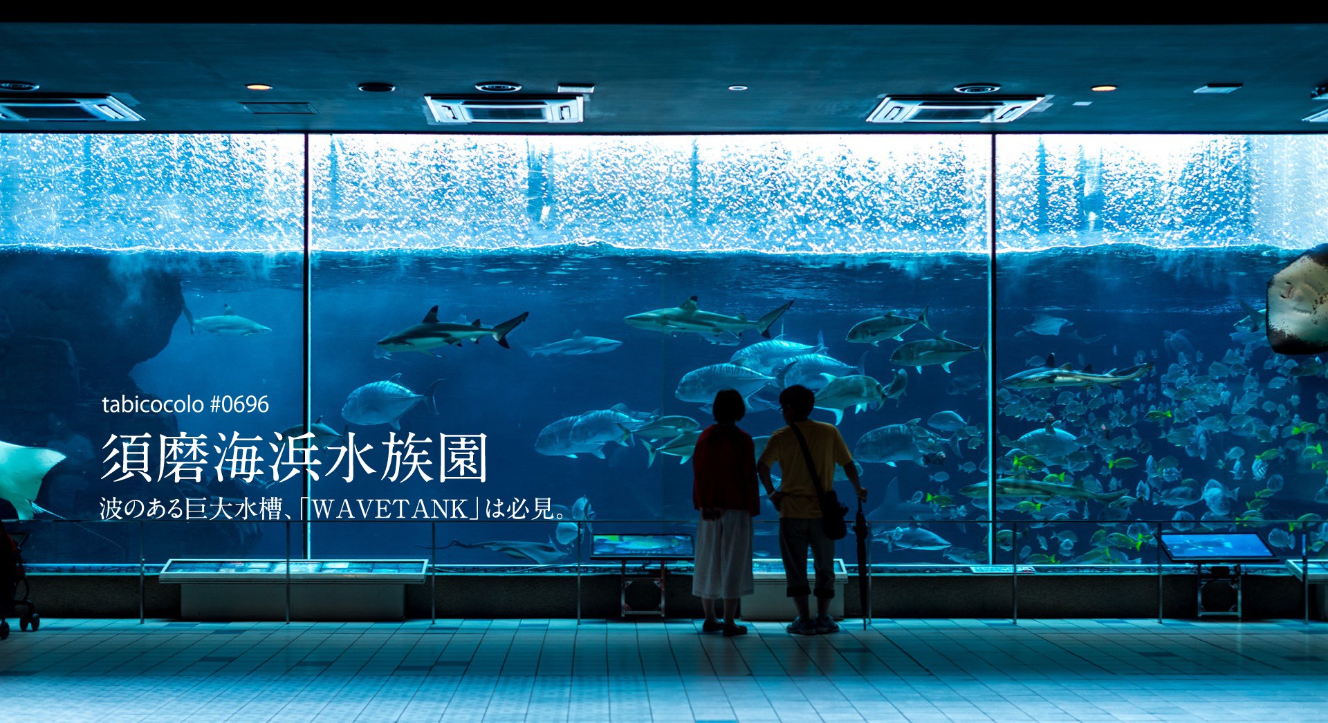 須磨海浜水族園