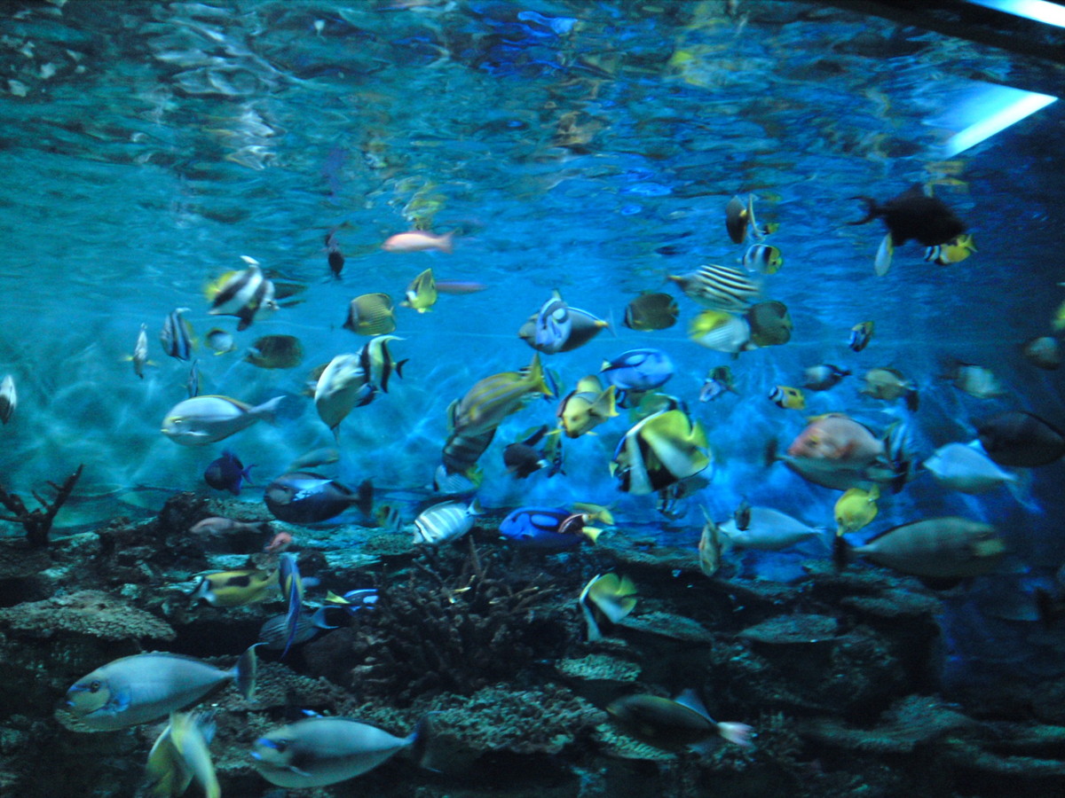 須磨海浜水族園