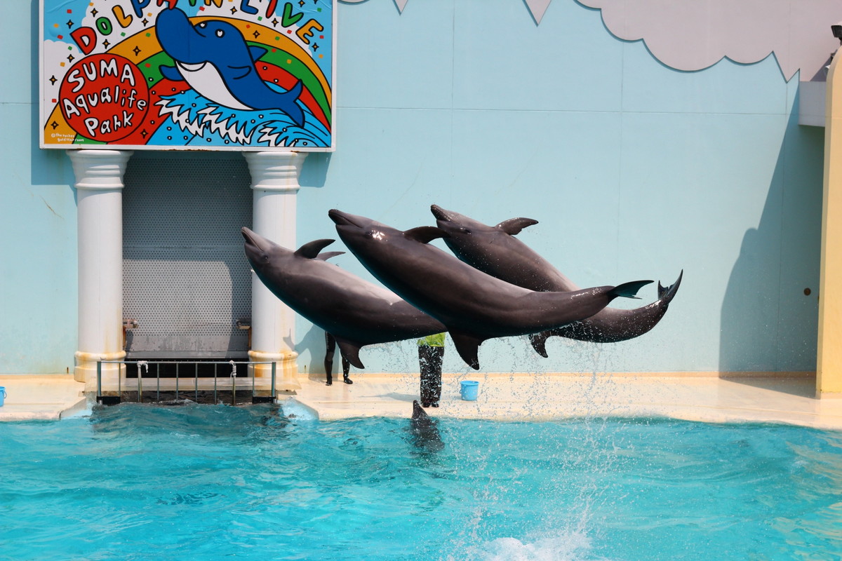 須磨海浜水族園