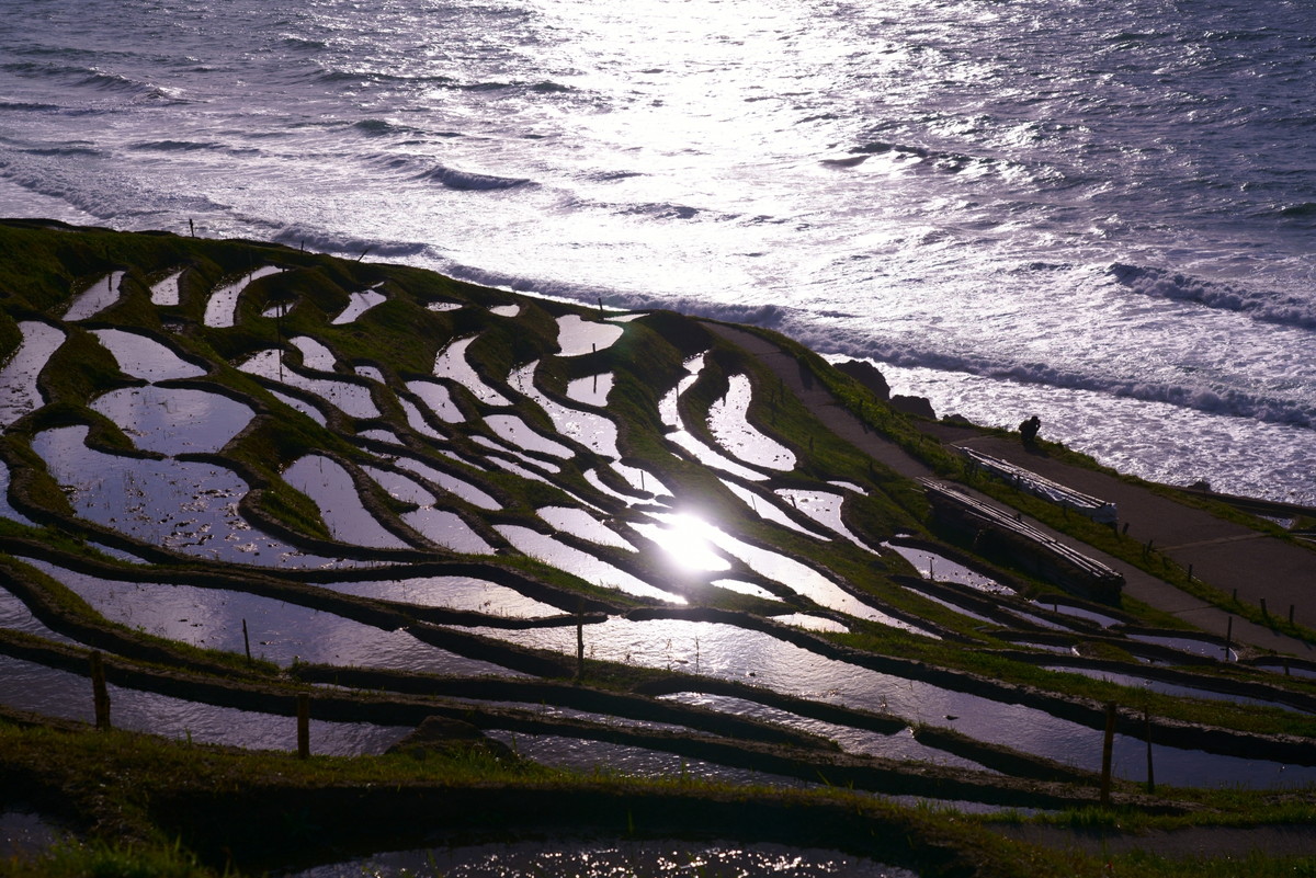 白米千枚田