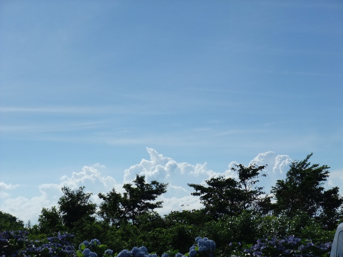 大川原高原