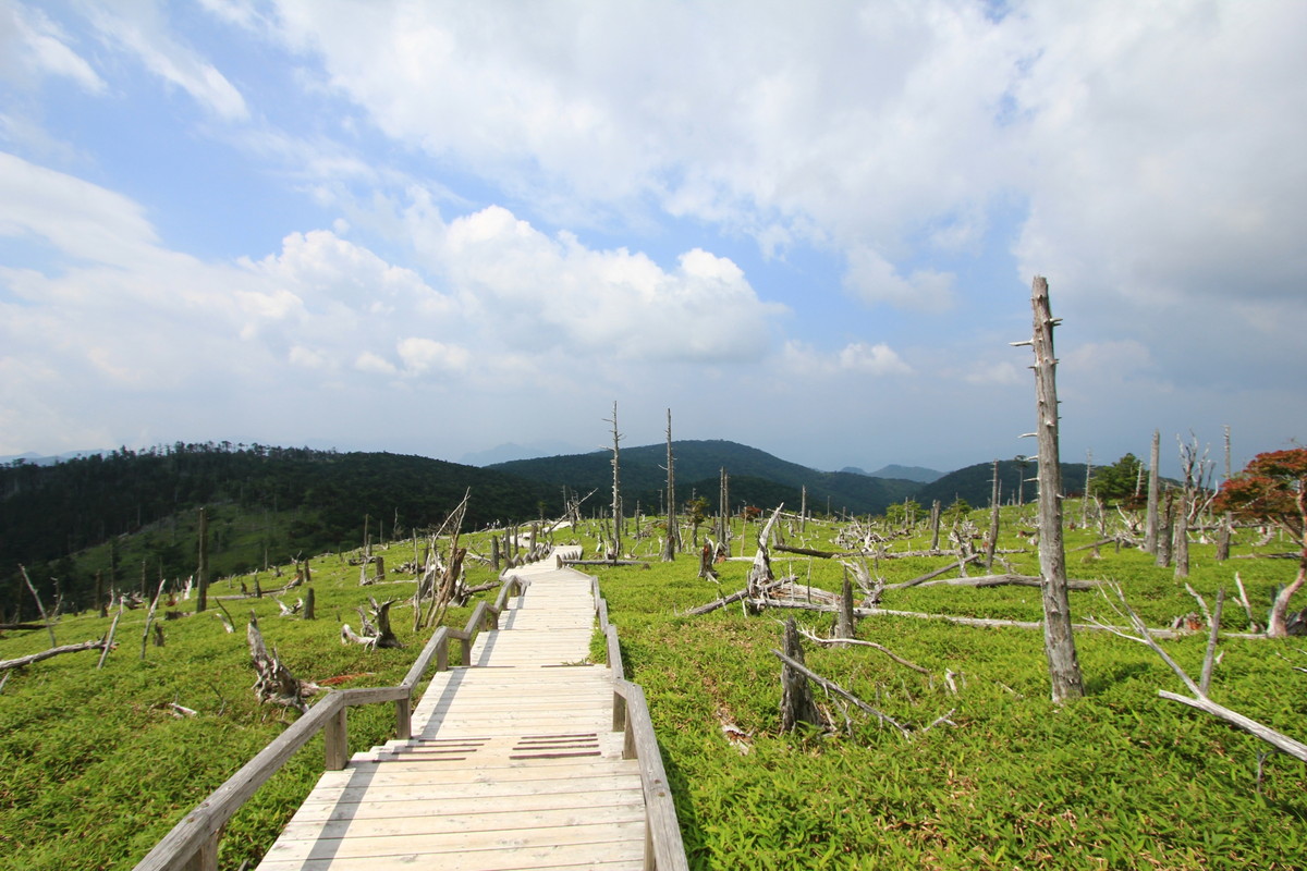 大台ヶ原