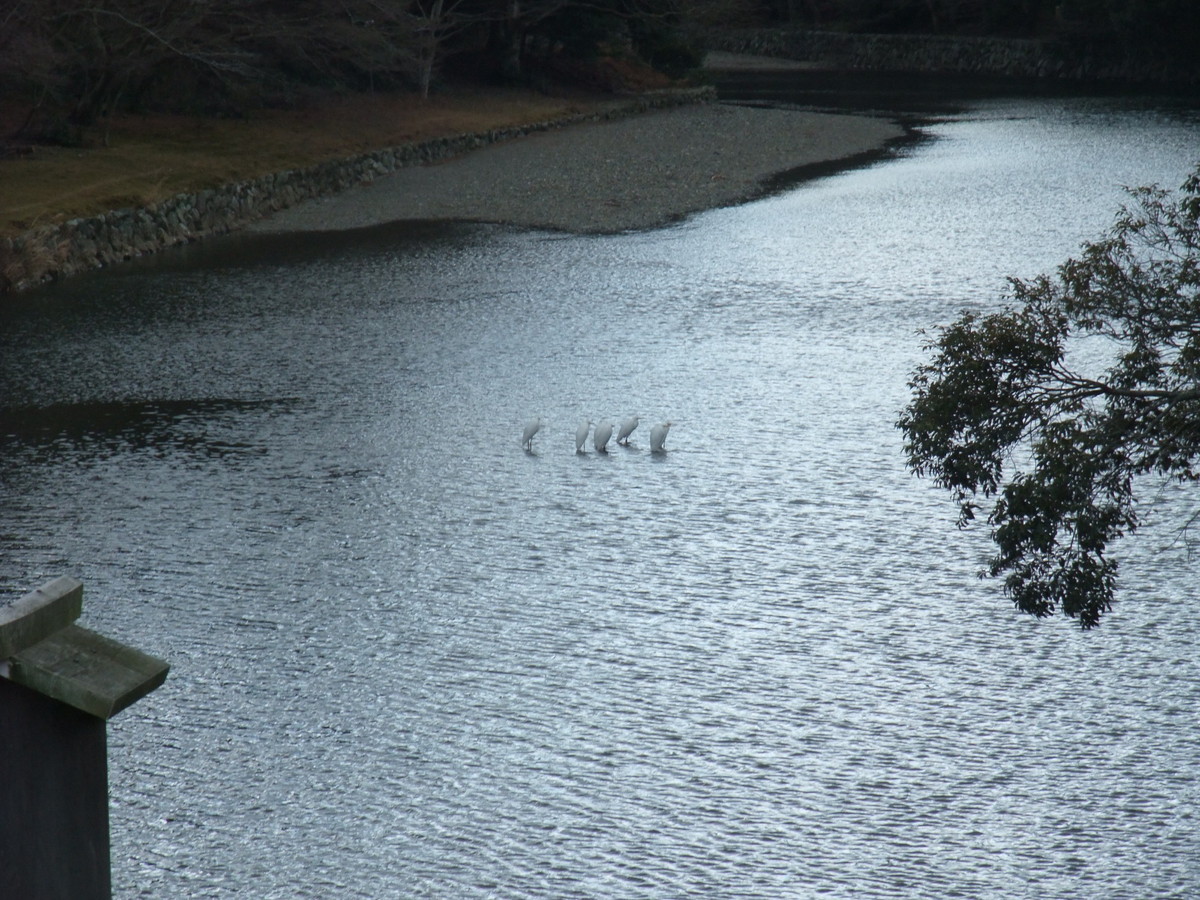 伊勢 宇治橋