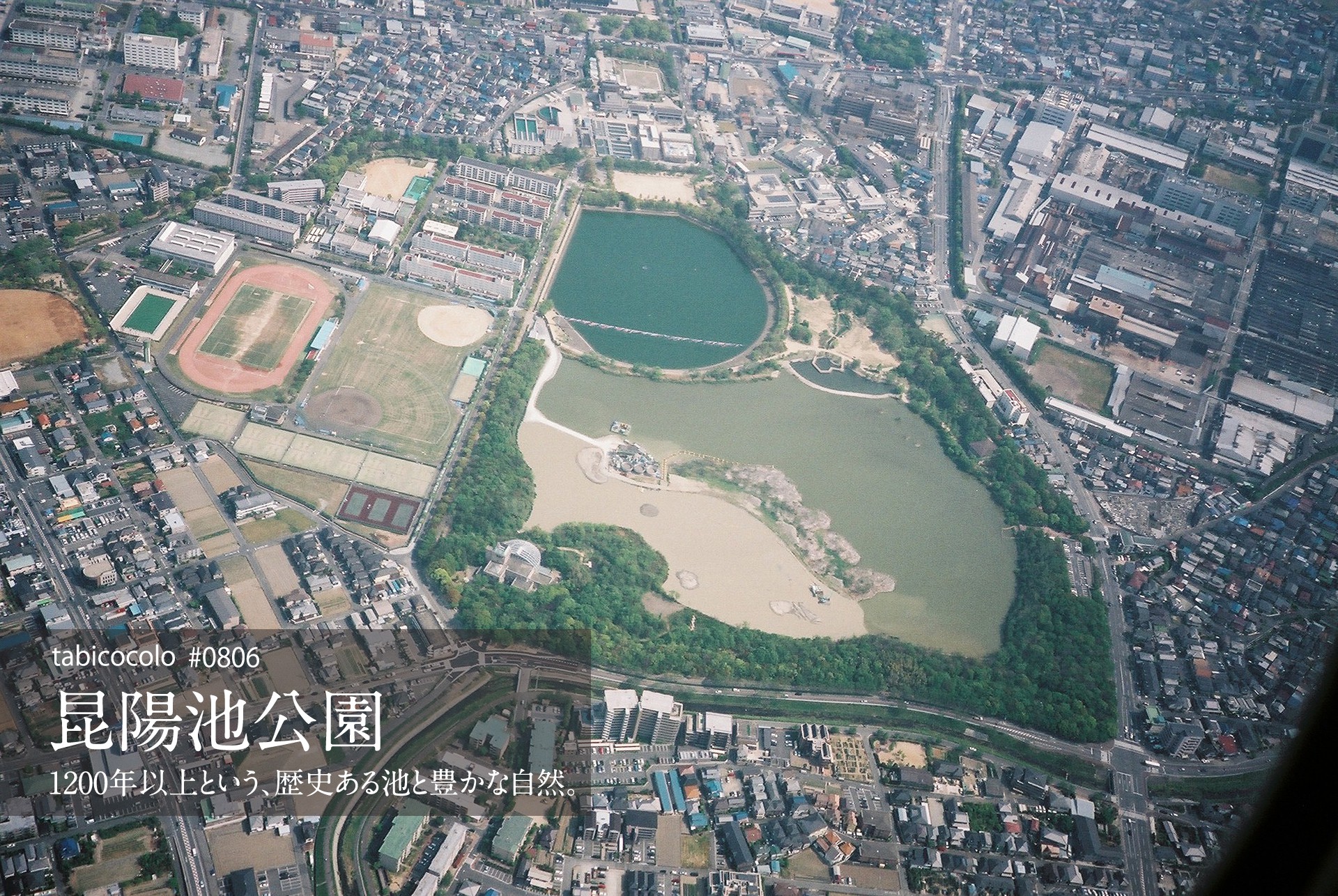 昆陽池公園