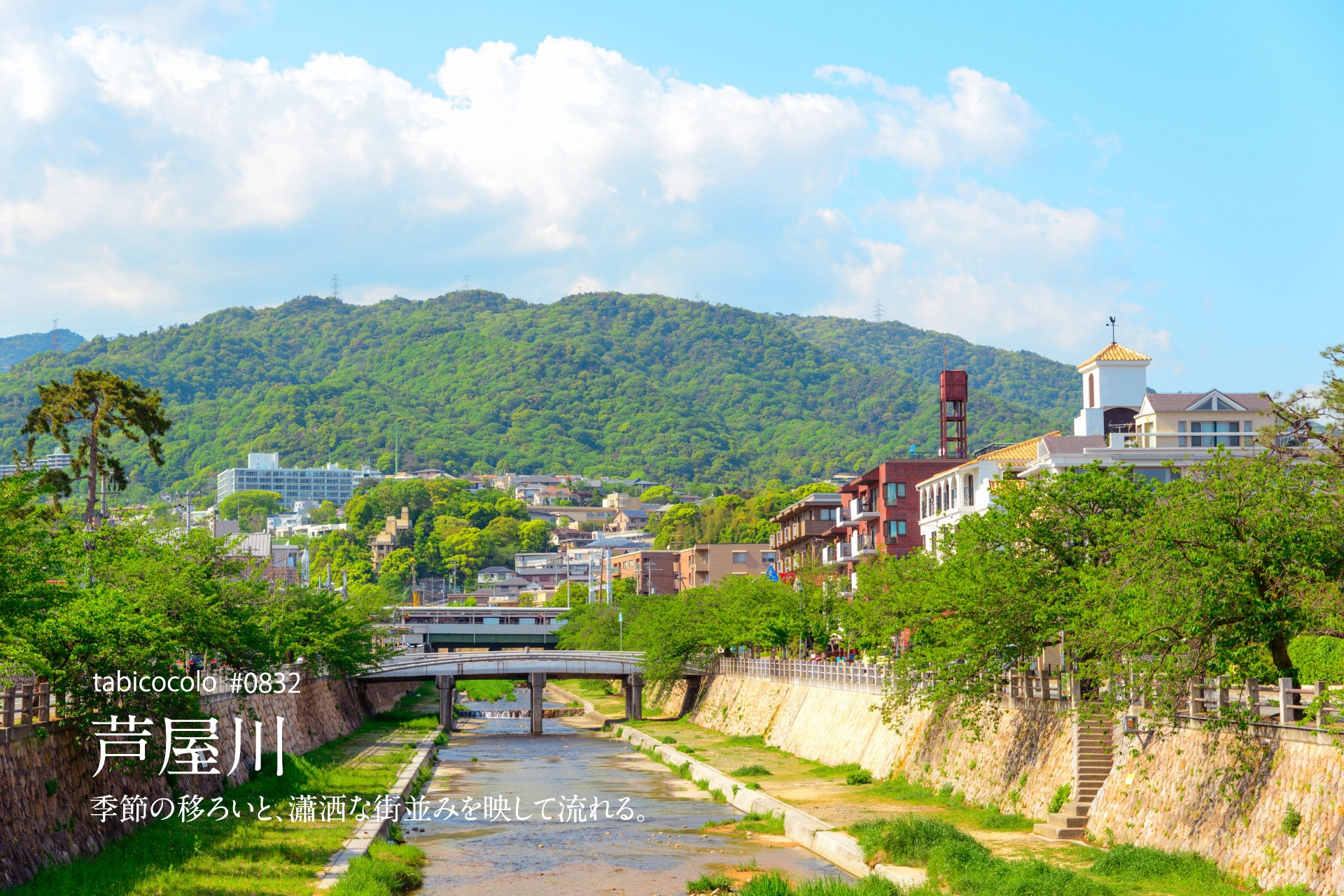 芦屋川