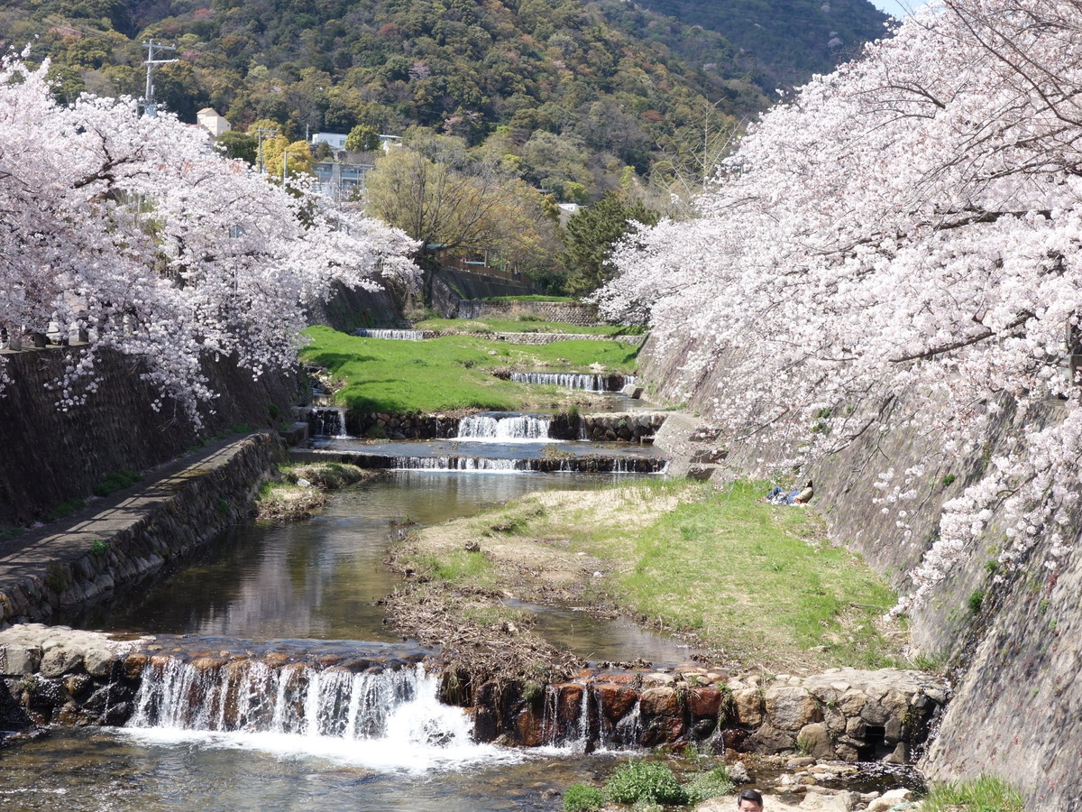 芦屋川