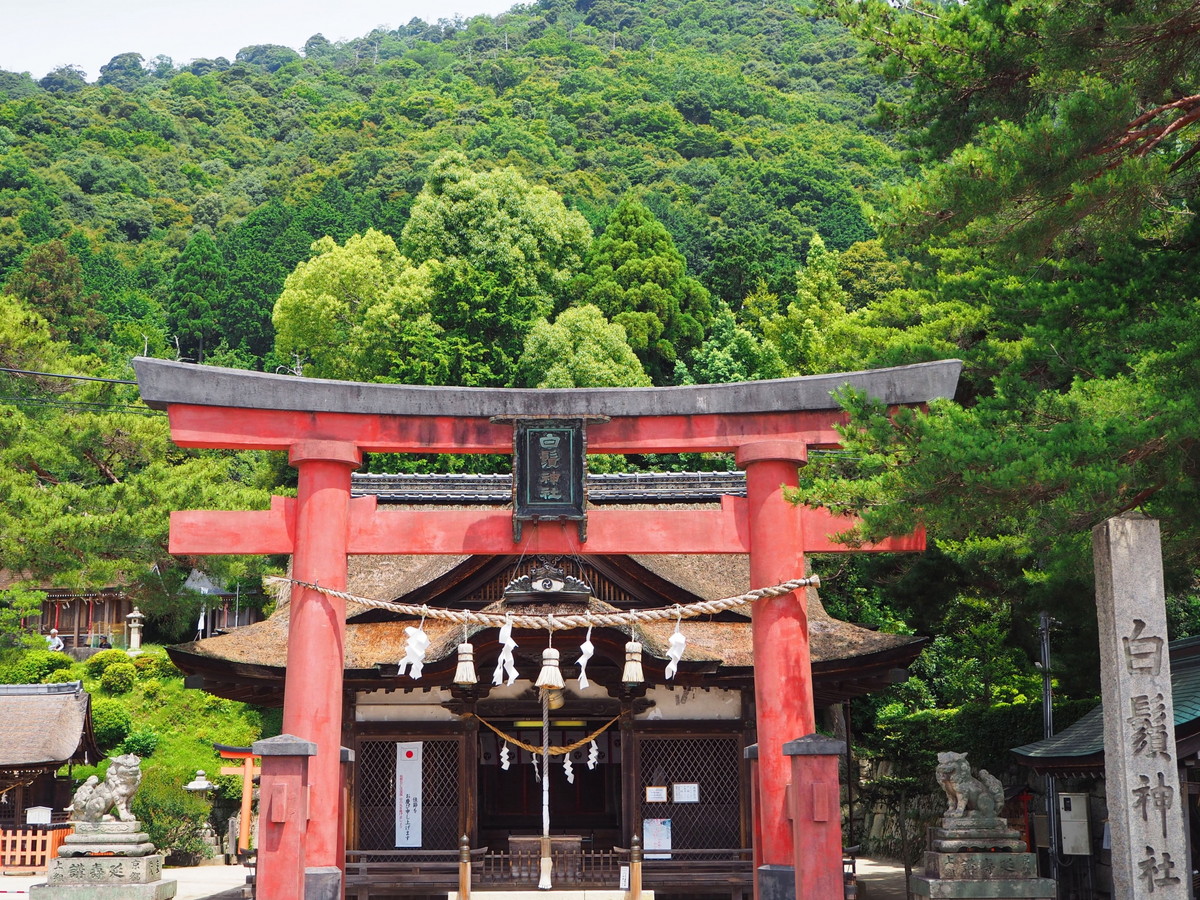 白鬚神社