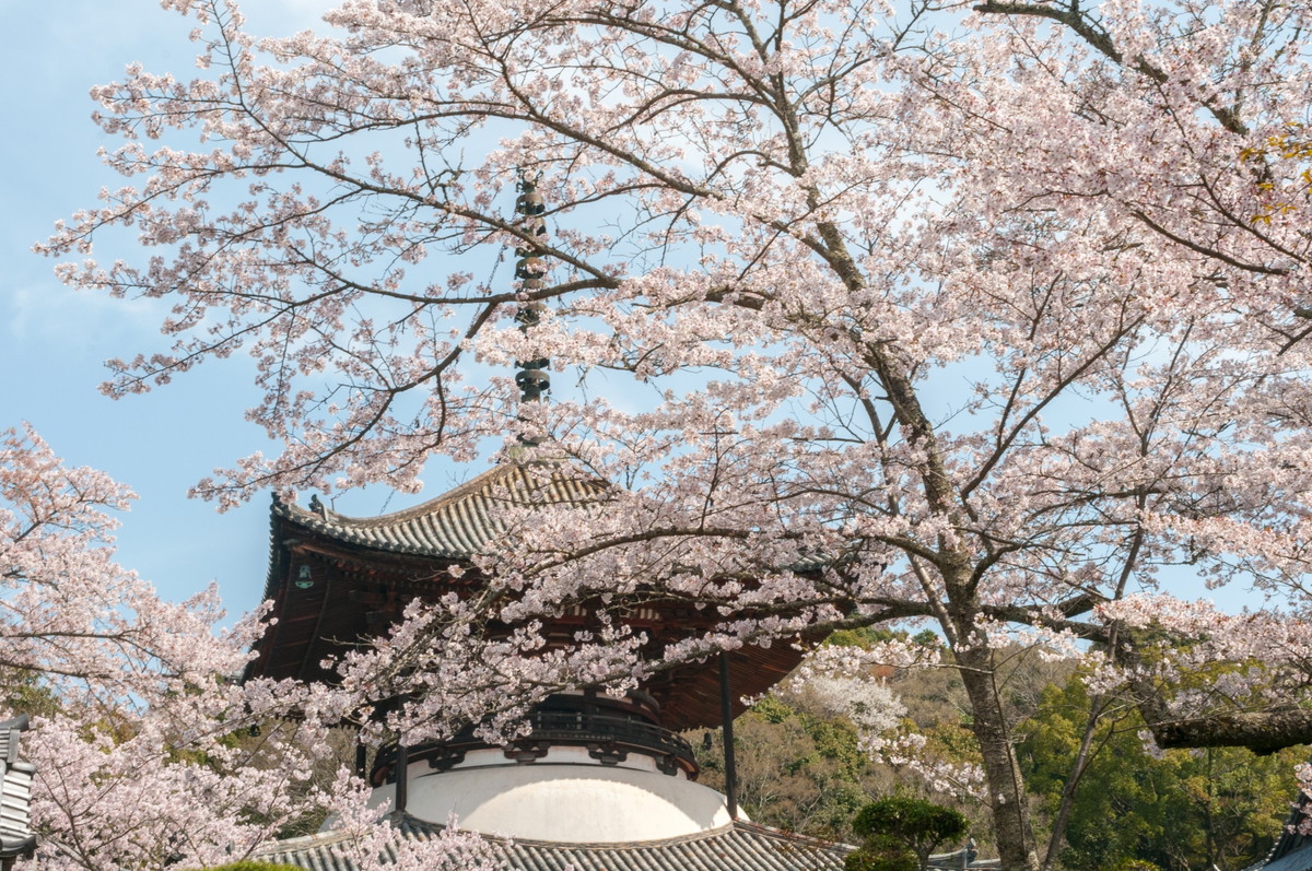 根来寺