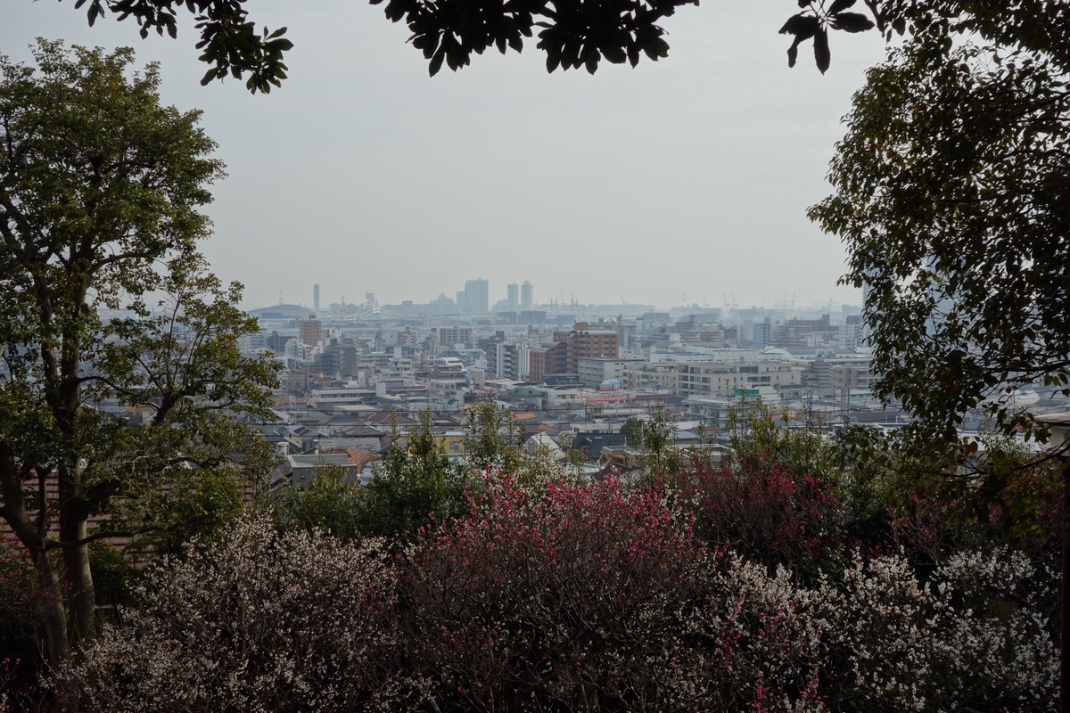 岡本梅林公園